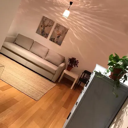 Almirante Centro Tranquila Y Con Encanto En Casa * Burgos
